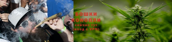 дистиллят марихуана Горняк