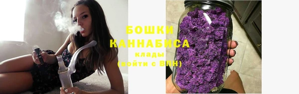 амф Горнозаводск