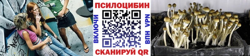 Псилоцибиновые грибы ЛСД Дубовка